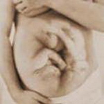 многоплодная беременность. особенности
