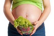 беременность и травы
